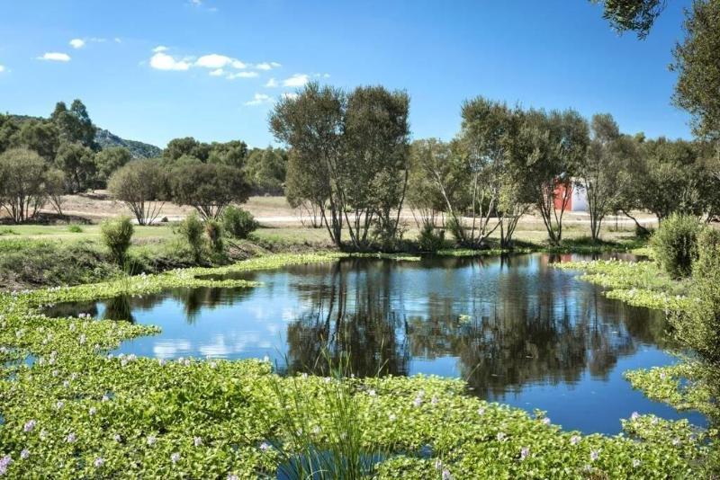 Li Neuli Country Club Hotel San Pantaleo Exterior photo